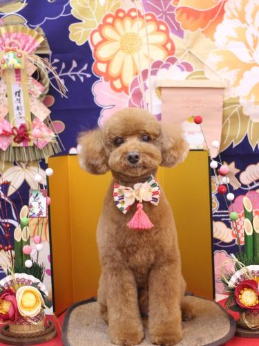 20240114レオくん